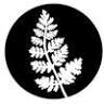 The Fern AK