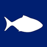 The Fish Company