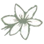 The Florist Shop