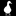 Gray Goose