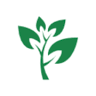 The Green Deco