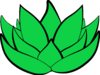 The Green Lotus Yoga Studio