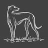 The Greyhound Inn