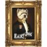 The Hairy Dog
