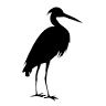 The Heron