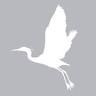 The Heron