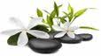 The Hot Stone Massage & Facial Spa
