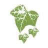 Dentist Pam Foster (at The Ivy Clinic)