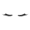 The Lash Lady