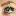 The Lash Lady Colchester
