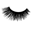 The Lash Lady