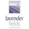 Lavender Fields