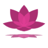 The Lotus Lounge