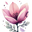 The Magnolia Cottage Boutique