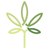 The Med Card | Missouri Medical Marijuana Card Doctors