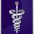 The Metal Surgeon, LLC