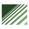 Moser Group Inc
