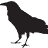 Raven Cafe