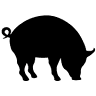 The Noble Pig