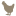 Wild Hen Farm