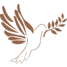 The Olive Branch