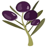 Home Gardening by The Olive Centre
