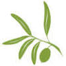 Olive Grove