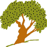 THE OLIVE TREE