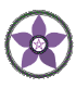 Peace Pentagon