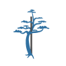 Orthopedic Group