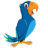 The Parrot Shop