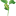 Magic Plant Manufacturer