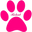 PAWS REHAB