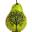 The Pear Tree
