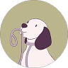 Pet Lady Ltd