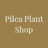 The Pilea Plant Shop