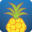 The Pineapple School - Stone Oak