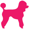 The Pink Poodle Spa & Boutique