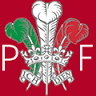 The Plume Of Feathers
