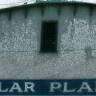 The Polar Plant