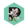 Stichting The Pollinators
