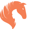 The Pony Express