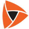 The PSA Group