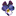 Purple Petal