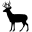The Roe Deer