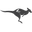The RooSport