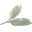 The Sage Bouquet