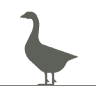 Snow Goose Bed and Breakfast