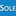 The Sole Proprietor