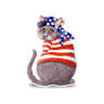 The Sound Cat Veterinary Hospital